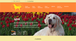 Desktop Screenshot of kibelline.ru